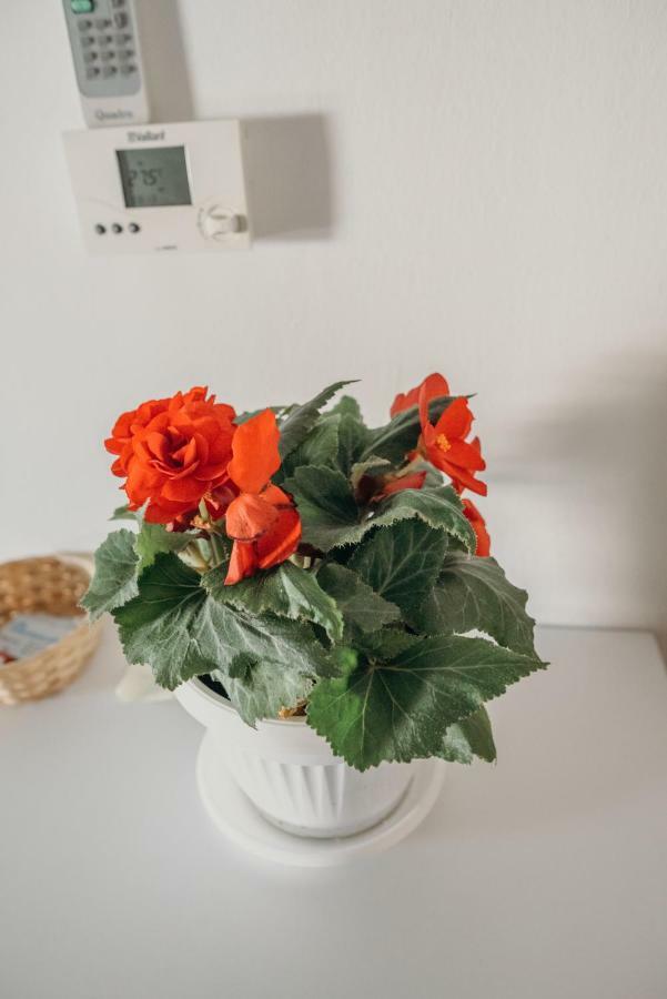 Apartman "Joka" Ðakovo Buitenkant foto