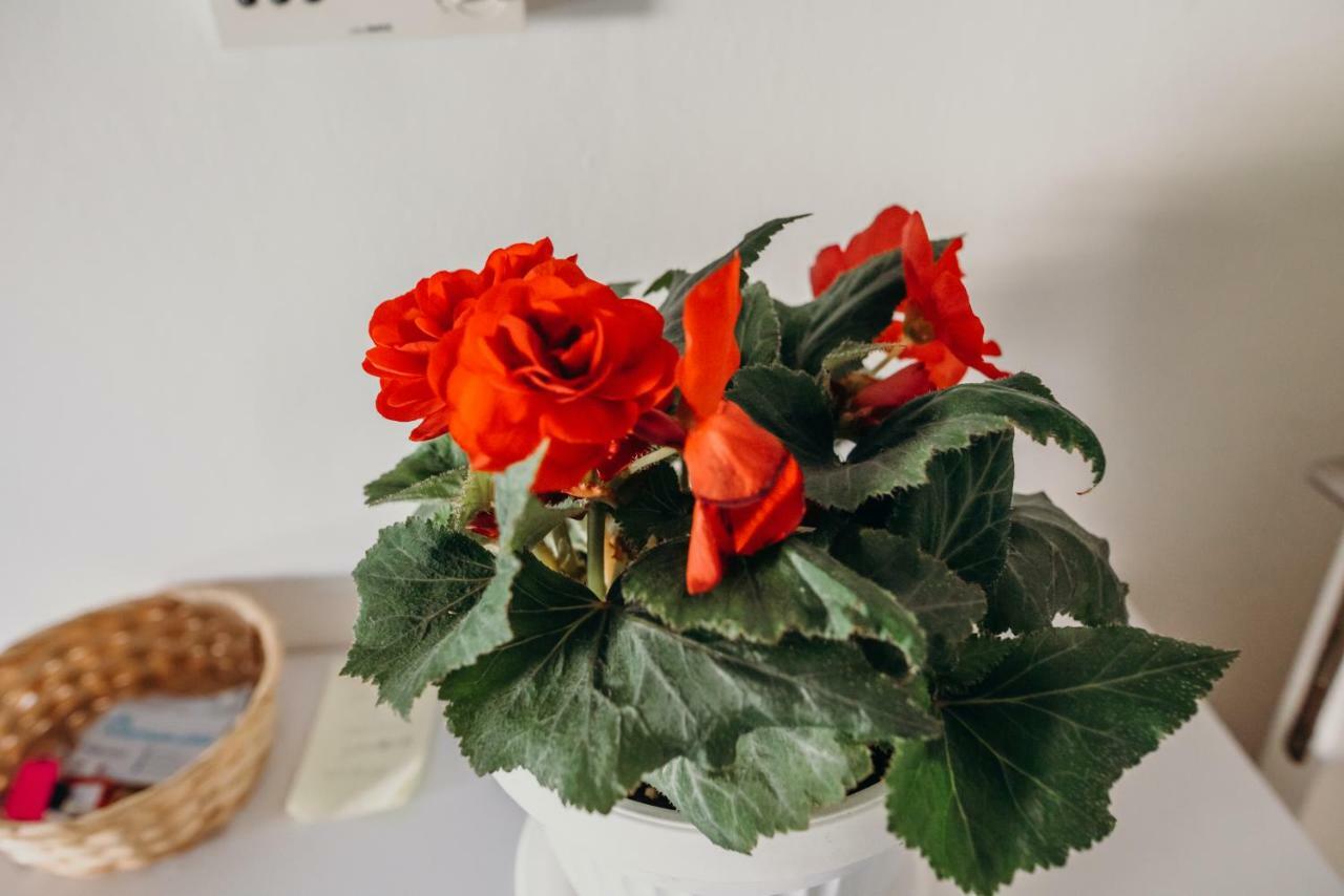 Apartman "Joka" Ðakovo Buitenkant foto